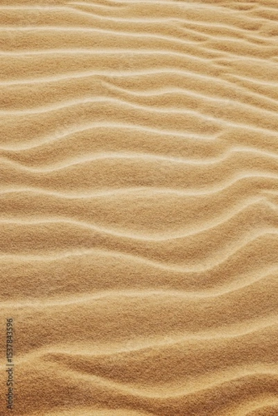 Obraz Natural Sand Dunes Texture Background with Rippled Wave Pattern