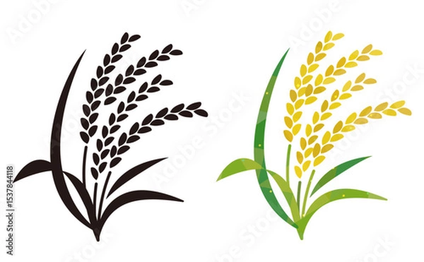 Fototapeta 稲穂が実るシンプルイラストセット