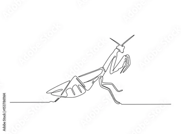 Fototapeta Praying mantis in single outline illustration. Continuous line art drawing of mantis. Editable stroke.
