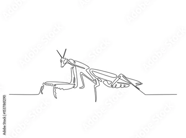Fototapeta Praying mantis in single outline illustration. Continuous line art drawing of mantis. Editable stroke.
