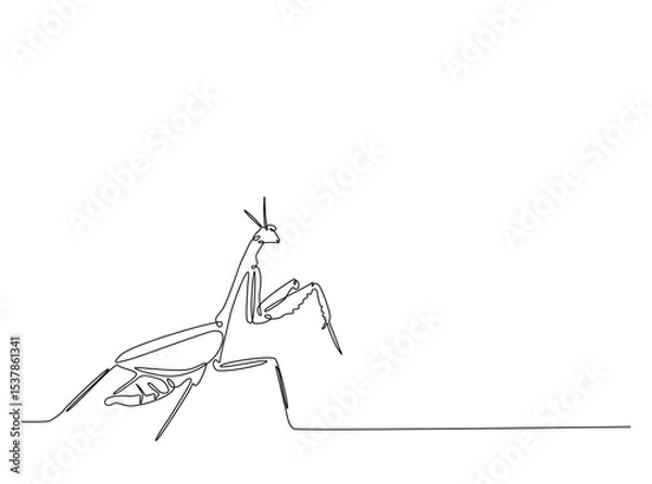 Fototapeta Praying mantis in single outline illustration. Continuous line art drawing of mantis. Editable stroke.