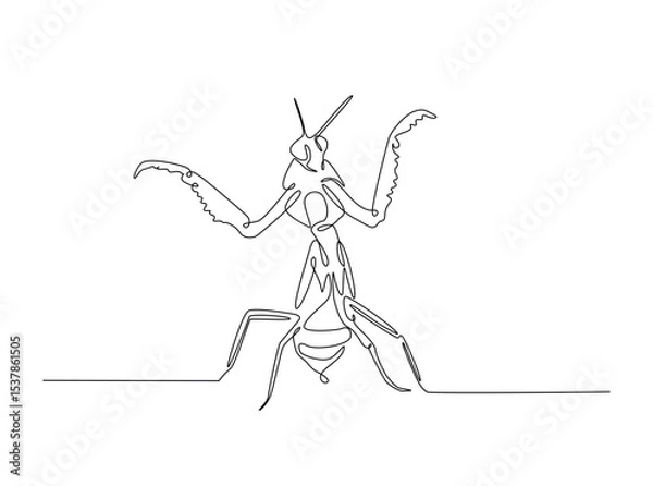 Fototapeta Praying mantis in single outline illustration. Continuous line art drawing of mantis. Editable stroke.