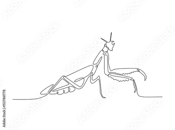 Fototapeta Praying mantis in single outline illustration. Continuous line art drawing of mantis. Editable stroke.