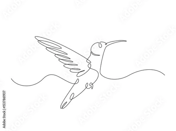 Fototapeta Hummingbird fly in single outline illustration. Continuous line art drawing of hummingbird or colobri. Editable stroke.