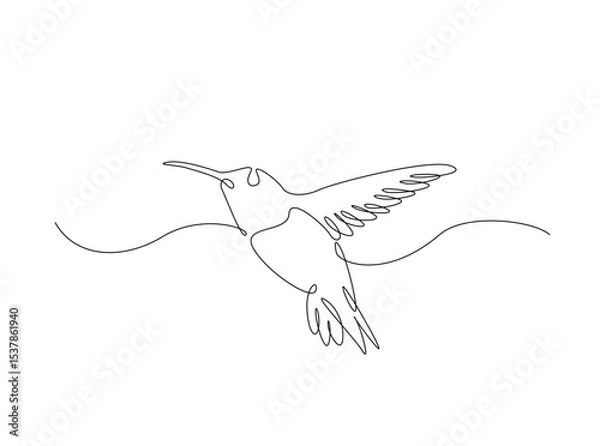 Fototapeta Hummingbird fly in single outline illustration. Continuous line art drawing of hummingbird or colobri. Editable stroke.