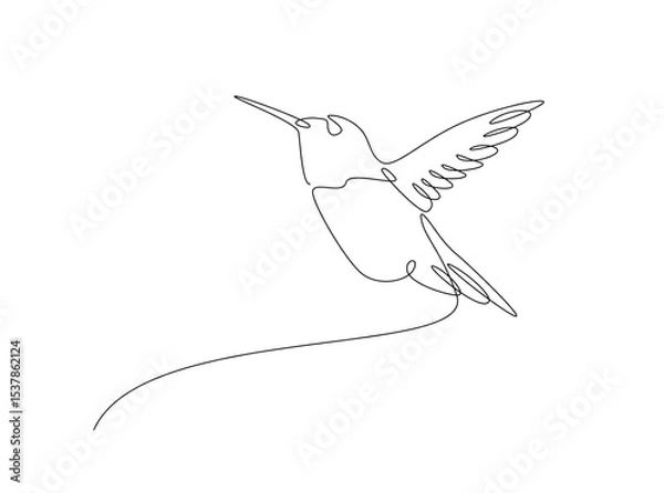 Fototapeta Hummingbird fly in single outline illustration. Continuous line art drawing of hummingbird or colobri. Editable stroke.