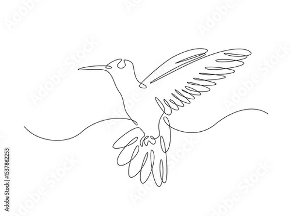 Fototapeta Hummingbird fly in single outline illustration. Continuous line art drawing of hummingbird or colobri. Editable stroke.