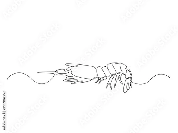 Fototapeta Sea shrimp in single outline illustration. Continuous line art drawing of shrimp. Editable stroke.