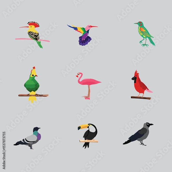 Fototapeta  Nice Colorful Birds Vector set 