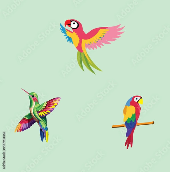 Fototapeta delete Nice Colorful Birds Vector set 