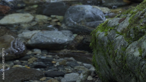 Fototapeta みたらい渓谷（奈良,自然）