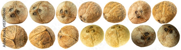 Obraz Set of dried whole coconuts isolated on white background, showing various angles and textures. Natural, tropical, and rustic look ideal for culinary, agricultural, or packaging themes.