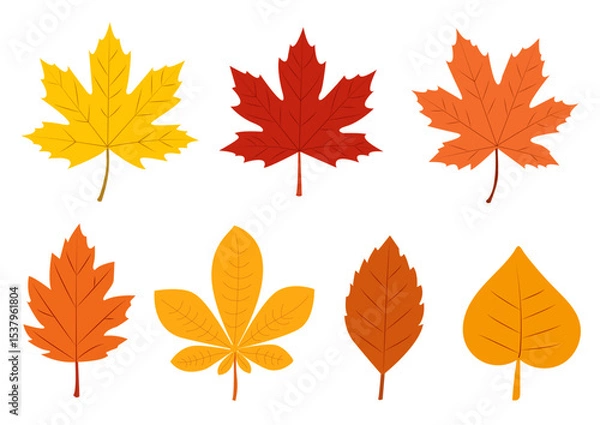 Fototapeta Colorful autumn leaves in various shapes and hues displayed against a clean background, capturing the essence of fall in nature