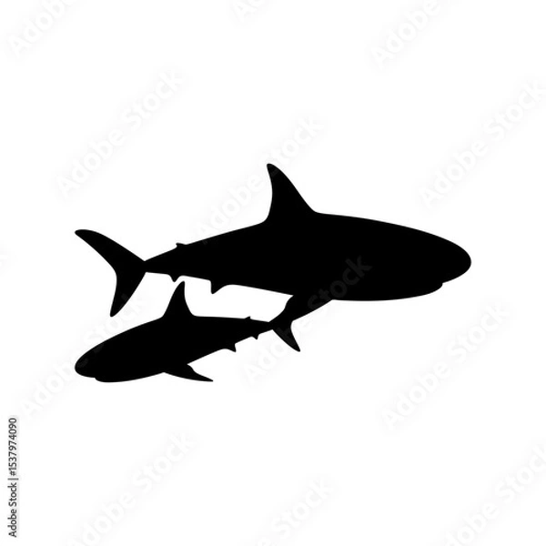 Obraz danger shark silhouette black isolated with white background. animal symbol. vector graphics