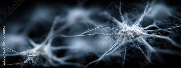 Obraz Neural connections in a microscopic view showcasing intricate patterns