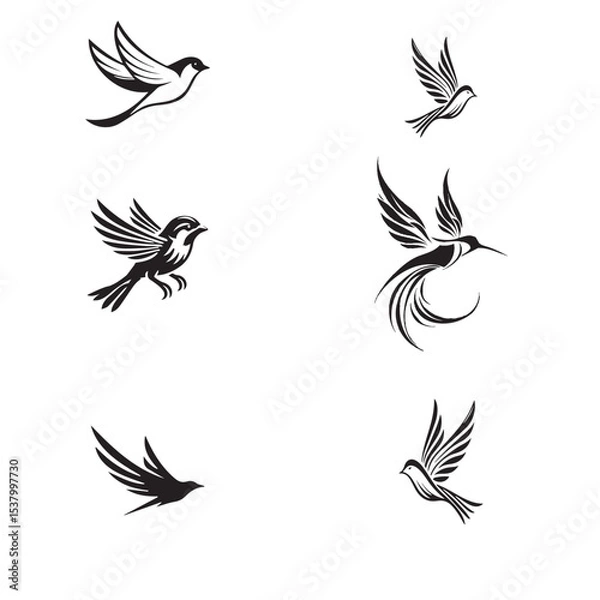Obraz Black and white Birds vector set 