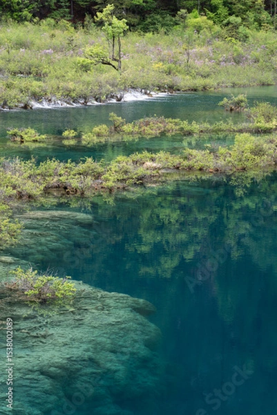 Fototapeta jiuzhaigou, China: The clear water of the Mirror lake in the Jiuzhaigou scenic area in the mountain of Sichuan in China