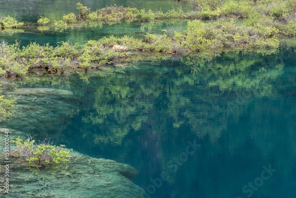 Fototapeta jiuzhaigou, China: The clear water of the Mirror lake in the Jiuzhaigou scenic area in the mountain of Sichuan in China