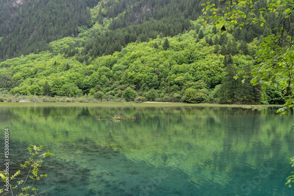 Fototapeta Jiuzhaigou, China: Reflection of the ancient forest in the clear water of the Mirror lake in the Jiuzhaigou scenic area in the mountain of Sichuan in Southwest China