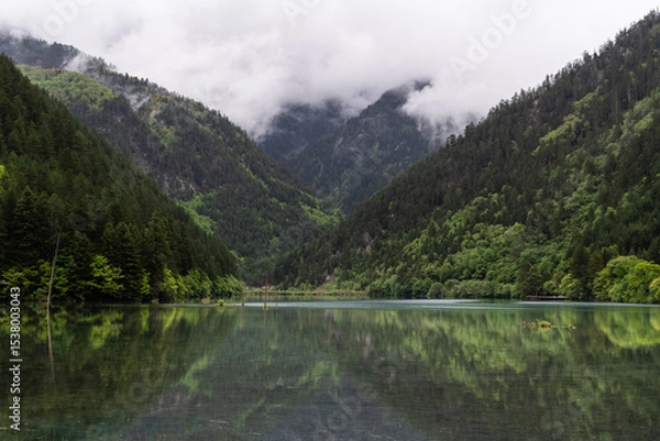 Fototapeta Jiuzhaigou, China: Dramatic reflection of the forest in the clear water of the Mirror lake in the Jiuzhaigou scenic area on a cloudy spring day in Sichuan, Southwest China