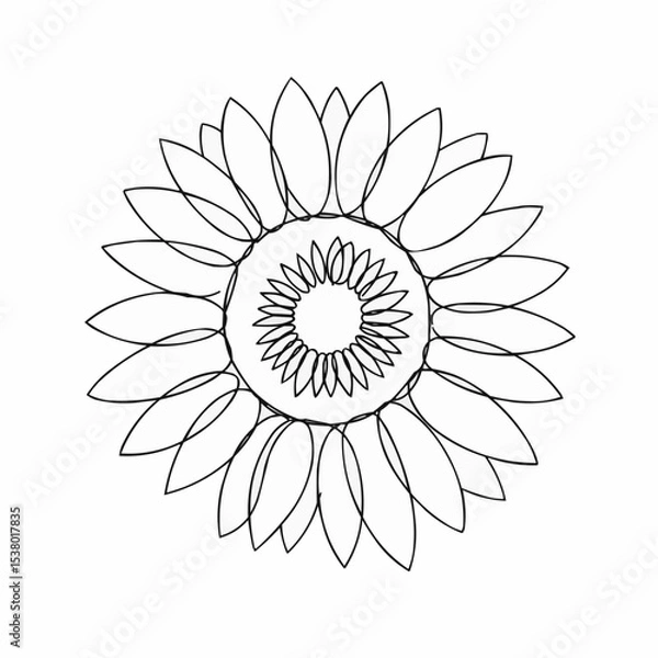 Obraz Line drawing of a sunflower.