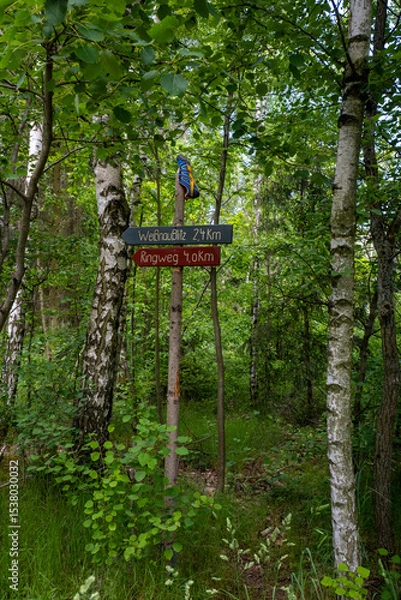 Fototapeta Wanderung um den Tschelentsy bei Dretschen in der Oberlausitz 1