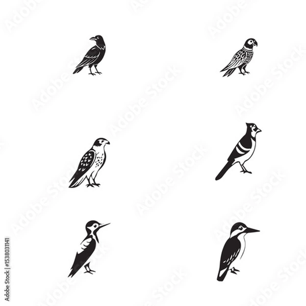 Obraz Cute Birds Vector set 