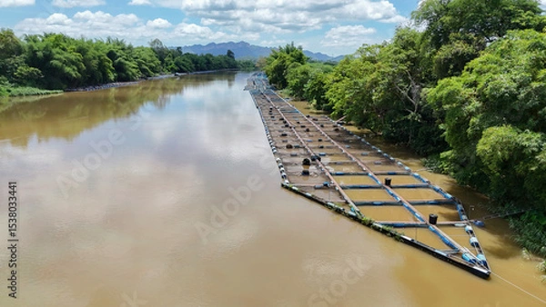 Obraz Red tilapia cages in the Mae Klong River, with Thai workers feeding and watching the floating tilapia being raised in used plastic containers in the Mae Klong River in Thailand