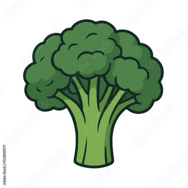Obraz broccoli isolated on white background, broccoli vector illustration