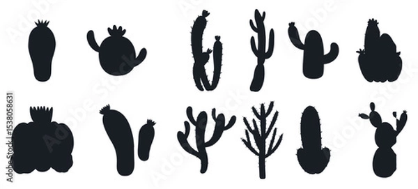 Fototapeta set cactuses flat design vectors silhouettes