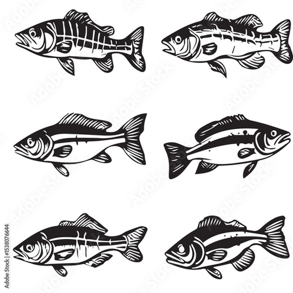 Obraz vector set of fish