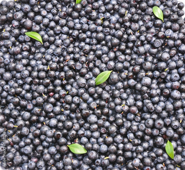 Fototapeta Organic superfoods bilberries textured background. Bilberries are high in fibre and antioxidants but are especially known for their high anthocyanin content.
