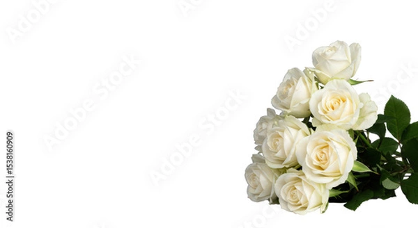Obraz Bouquet of white roses isolated on transparent background