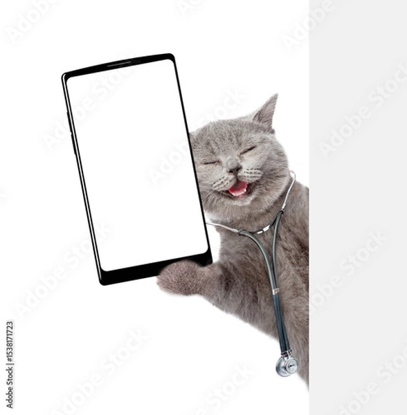 Fototapeta Happy cat wearing like a doctor with stethoscope on his neck showing big smartphone with blank screen in it paw from behind blank white banner. Empty space for text. isolated on white background