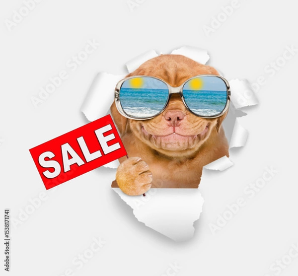 Obraz Happy Mastif puppy wearing mirrored sunglasses looking through the hole in white paper and showing signboard with labeled "sale"