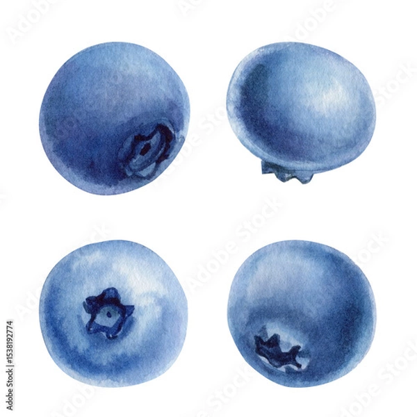 Obraz Watercolor Blueberries Set. Isolated Berries art. Natural Fruit Clipart for Packaging Labels Recipe Design Summer Decor