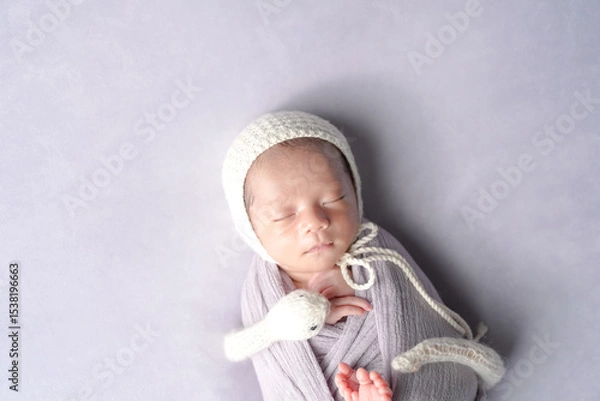 Fototapeta A professional newborn photo shows a half-month-old Japanese baby sleeping in a soft wrap. The baby wears a white knitted hat. A zodiac snake plush is curled beside them on a pale purple background.