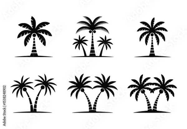 Fototapeta Collection of elegant black palm tree silhouettes ideal for tropical designs summer branding vacation themes and beach illustrations