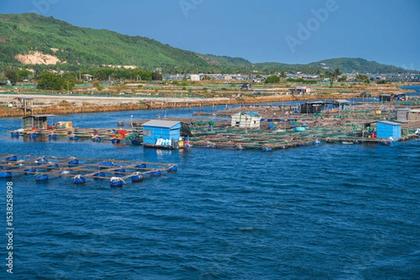 Fototapeta Shrimp and fish farming farm with fishing cages and nets on the water in sea bay in Vietnam in Asia in summer. Aerial top view from drone