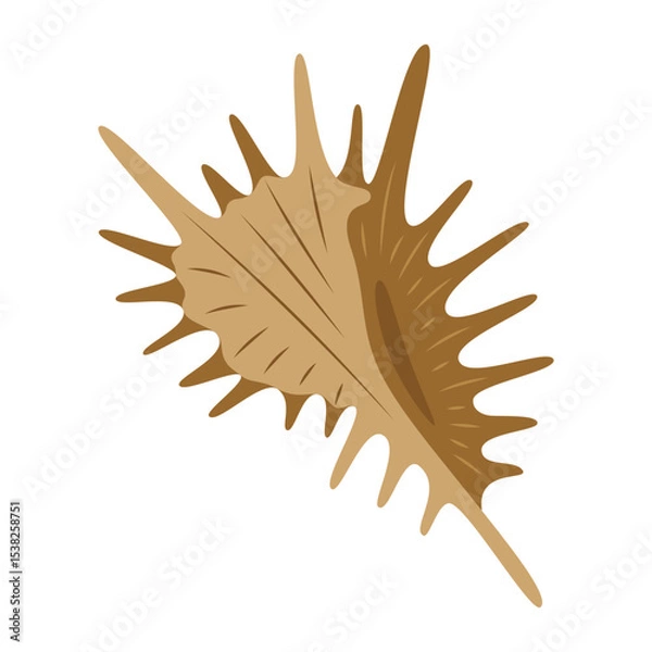 Fototapeta cartoon seashell isolated