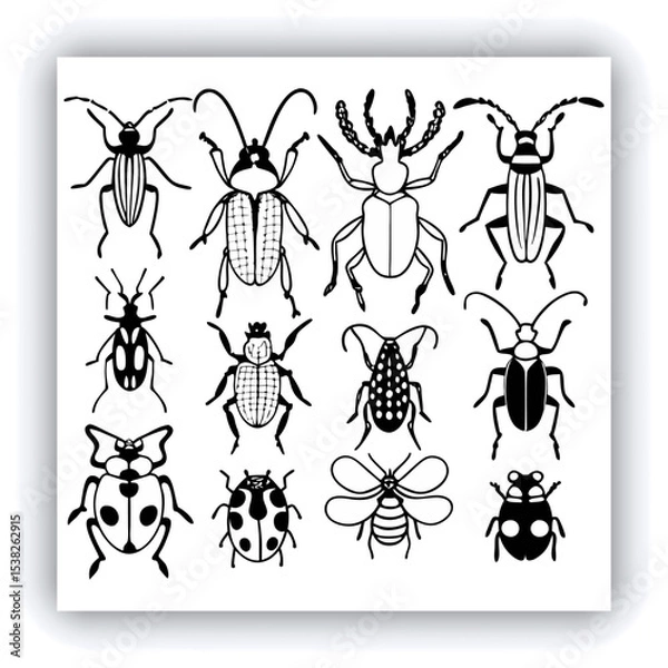 Fototapeta Set of insect illustrations, butterfly, caterpillar, cricket, ant, rhinoceros beetle, stag beetle, ladybug, cockchafer, realistic in 3d style.