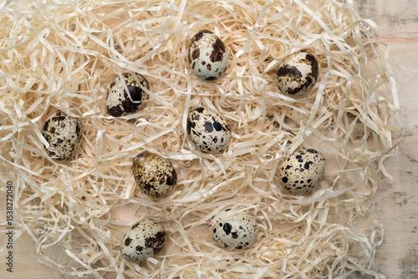 Fototapeta Quail eggs scattered randomly in straw, still life, top view