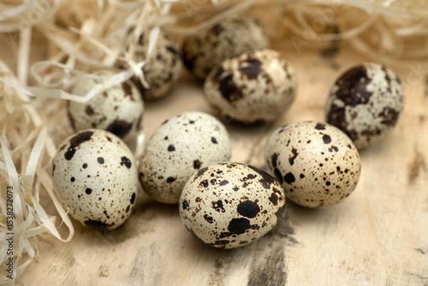 Fototapeta close-up of spotted, quail eggs surrounded by decorative straw