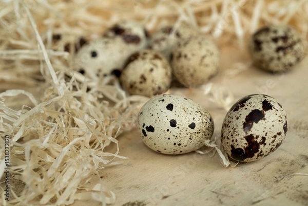 Fototapeta close up of quail eggs scattered on a wood surrounded by straw
