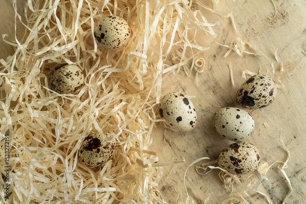 Fototapeta quail eggs scattered on a wooden surface surrounded by straw