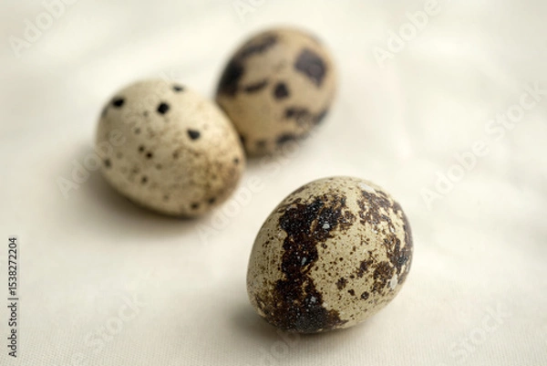 Fototapeta Close up focus on spotted quail eggs on a fabric surface