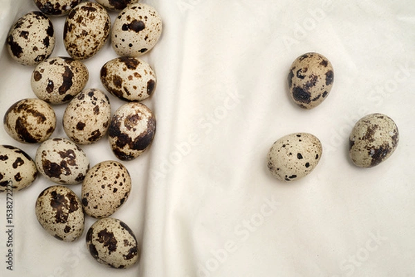 Fototapeta Spotted quail eggs separated by folds on light fabric
