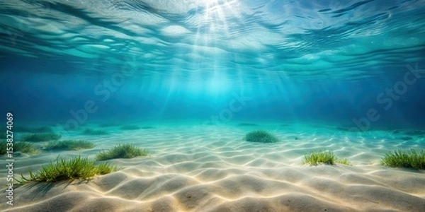 Fototapeta Soft sandy ocean floor with subtle waves and seaweed swaying gently in the current