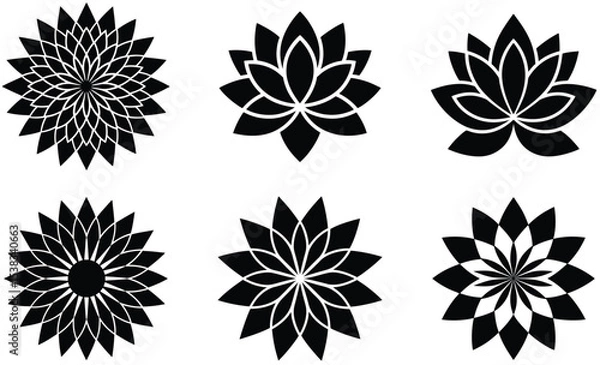 Obraz Bundle of dahlia sunflower lotus sun flower  meri gold icon with multiple layers of pointed petals.