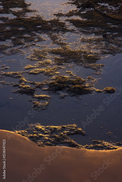 Fototapeta Calm Reflections on a Serene Shoreline at Dusk With Shimmering Water